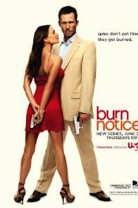 Burn Notice - Season 3