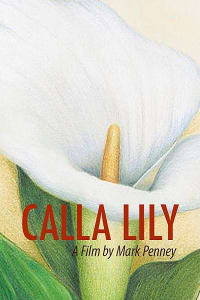 Calla Lily