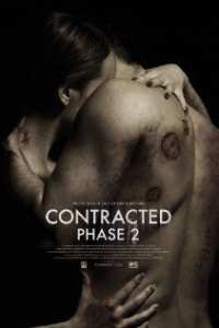 Contracted Phase II