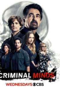 Criminal Minds - Season 12