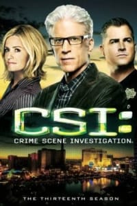 CSI - Season 11