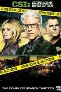 CSI - Season 13