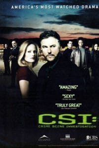 CSI - Season 8