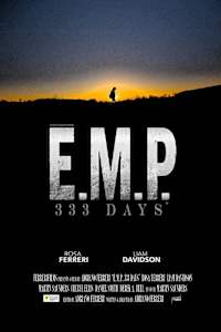 EMP 333 Days