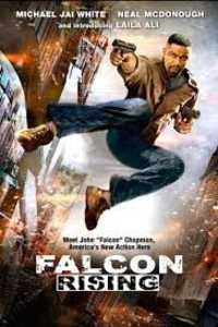 Falcon Rising