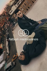 Flatbush Misdemeanors - Season 2