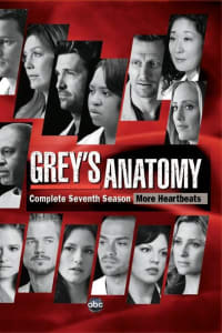 Greys Anatomy - Season 7