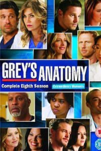 Greys Anatomy - Season 8