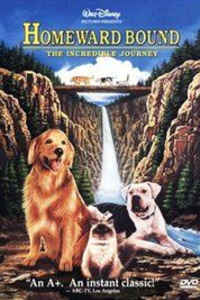 Homeward Bound: The Incredible Journey