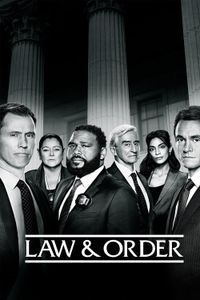 Law & Order - Season 26