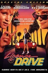 License to Drive