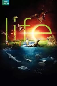 Watch Life 2009 Season 01 in 1080p on Soap2day