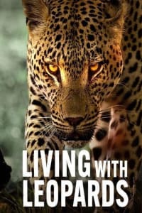 Living With Leopards