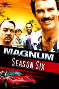 Magnum, PI - Season 06