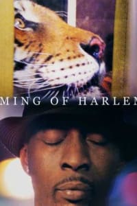 Ming of Harlem: Twenty One Storeys in the Air