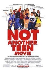 Not Another Teen Movie