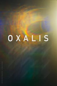 Oxalis