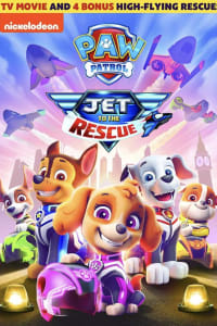 Paw Patrol: Jet to the Rescue