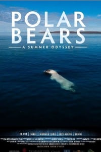 Polar Bears: A Summer Odyssey