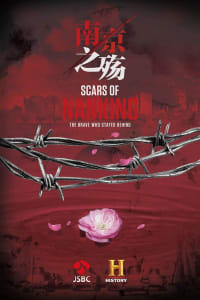 Scars of Nanking