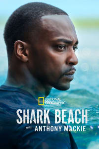 Shark Beach With Anthony Mackie