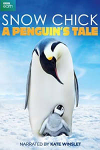 Snow Chick: A Penguin's Tale