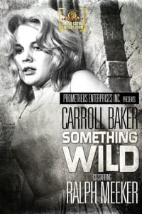 Something Wild