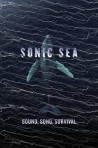 Sonic Sea