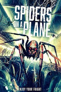 Spiders on a Plane