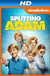 Splitting Adam