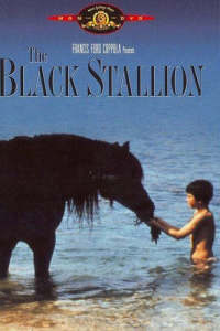 The Black Stallion