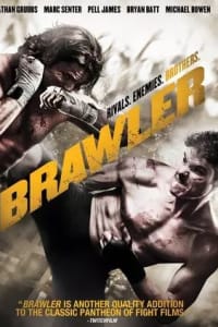 The Brawler