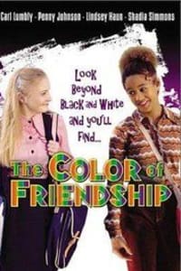 The Color of Friendship