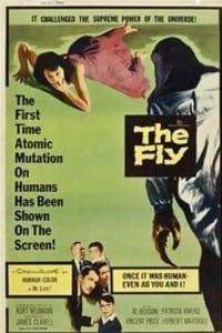 The Fly