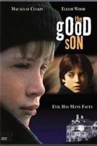 The Good Son