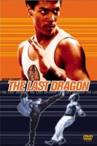 The Last Dragon