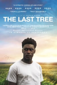 The Last Tree