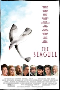 The Seagull