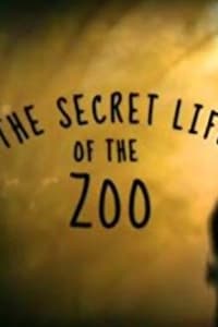 The Secret Life of the Zoo - Season 6