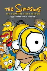 The Simpsons - Season 6