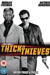 Thick as Thieves