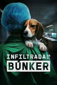 Undercover Inside the Bunker