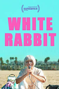 White Rabbit