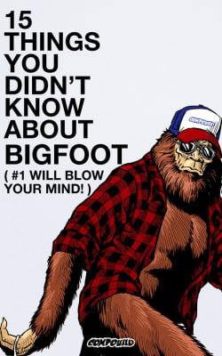 15 Things You Didn't Know About Bigfoot (#1 Will Blow Your Mind)