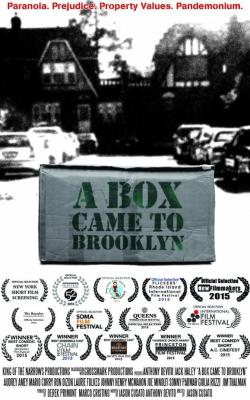 A Box Came To Brooklyn