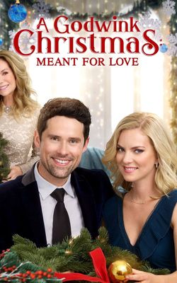 A Godwink Christmas: Meant For Love