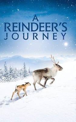 A Reindeer's Journey