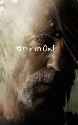 Anemone