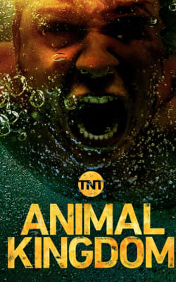 Animal Kingdom - Season 3