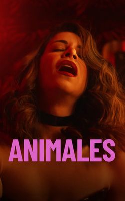 Animals-HD